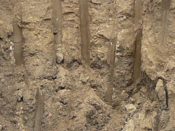 Texture of dark brown dirt wall with smooth vertical marks dug into it and an area of green and yellow grass at the top.